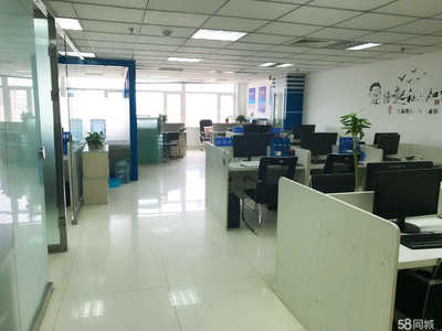 內蒙古鑫淼商務信息咨詢 助力企業決策的可靠伙伴